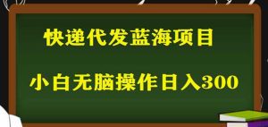 2023最新蓝海快递代发项目，小白零成本照抄也能日入300+-副业吧