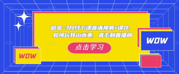 哈哥·3月线下实操课高清视频+课件，如何玩转小而美，高毛利直播间-副业吧