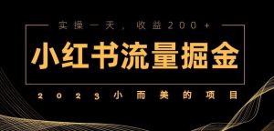 2023小而美的项目,小红书流量掘金,实操一天,收益200+【揭秘】-副业吧