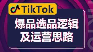 TikTok爆品选品逻辑及运营思路:解决网络环境快速入门TikTok-副业吧