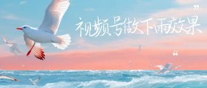 (6637期)视频号做下雨视频,一个账号一周涨粉10W+,日入1000+,附保姆级教程-副业吧