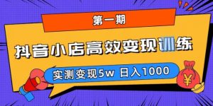 抖音小店高效变现训练营（第一期）,实测变现5w，日入1000【揭秘】-副业吧