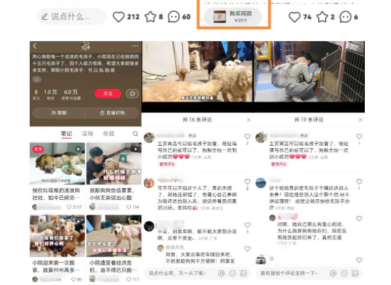 小红书蓝海类赛道：小动物打赏与购买变现副业项目，一条龙玩法分享给你！-副业吧