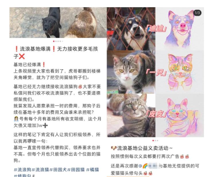 小红书蓝海类赛道：小动物打赏与购买变现副业项目，一条龙玩法分享给你！-副业吧