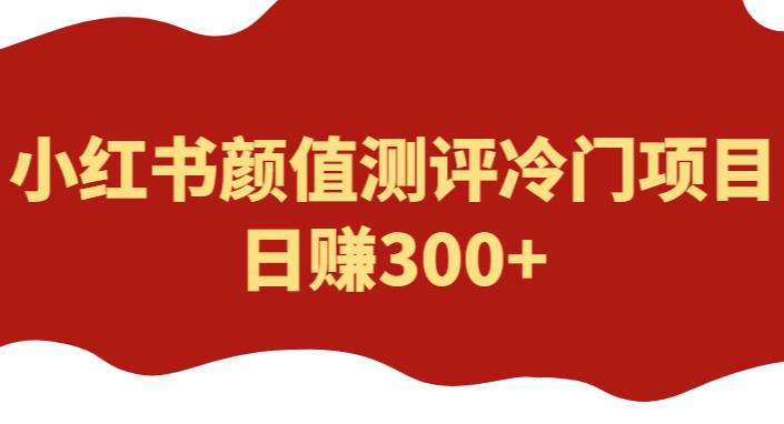 外面1980的项目，小红书颜值测评冷门项目，日赚300+【揭秘】-副业吧
