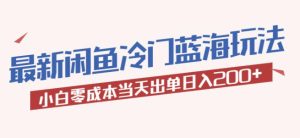 2023最新闲鱼冷门蓝海玩法，小白零成本当天出单日入200+【揭秘】-副业吧
