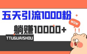 （6745期）5天引流1000+，赚了1w+-副业吧