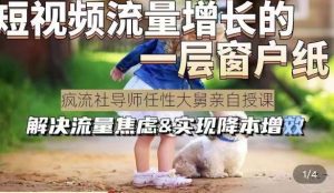 任性大舅·宠物行业短视频运营课(不讲废话)，短视频流量增长的一层窗户纸，解决流量焦虑&实现降本增效-副业吧