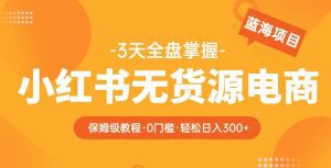 2023【阿本小红书无货源电商训练营】保姆级教程，从0到1，3天全盘掌握，轻松日入300+-副业吧