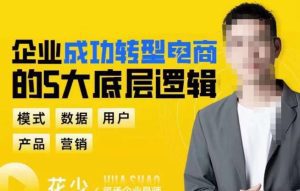 企业成功转型电商的5大底层逻辑，从模式、数据、用户、产品、营销5大板块，助你高效转型电商赛道-副业吧