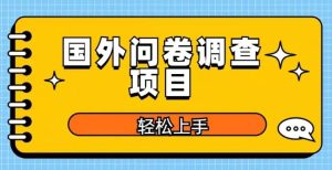 国外问卷调查项目，日入300+，在家赚美金【揭秘】-副业吧