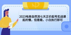 2023电商自然流七天正价起号实战课：起的慢，但是稳，小白执行即可！-副业吧