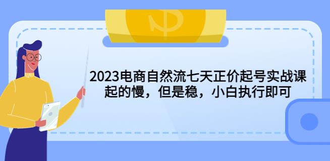 2023电商自然流七天正价起号实战课：起的慢，但是稳，小白执行即可！-副业吧