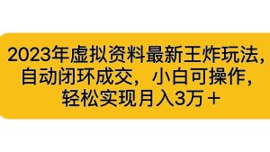（6773期）2023年虚拟资料最新王炸玩法，自动闭环成交，小白可操作，轻松实现月入3…-副业吧