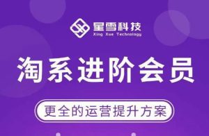 星雪·淘系进阶课程，快速提升突破技能流量瓶颈必备（更新2023年5月）-副业吧