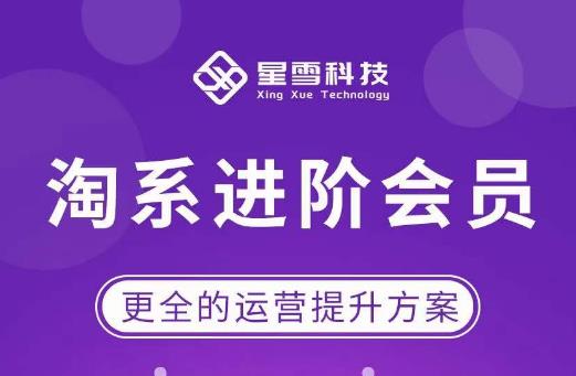 星雪·淘系进阶课程，快速提升突破技能流量瓶颈必备（更新2023年5月）-副业吧