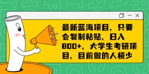 (6780期)最新蓝海项目,只要会复制粘贴,日入800+,大学生考研项目,目前做的人极少-副业吧