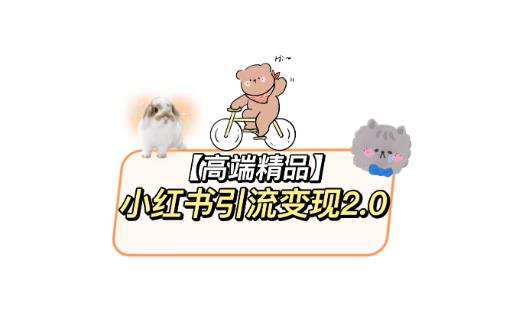 小红书最新引流变现教程，全网最新最详细的视频教程以及素材-副业吧