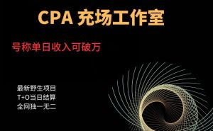 cpa充场工作室，号称单日收入10000+（揭秘）-副业吧