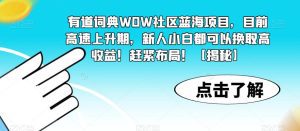 有道词典WOW社区蓝海项目，目前高速上升期，新人小白都可以换取高收益！赶紧布局！【揭秘】-副业吧