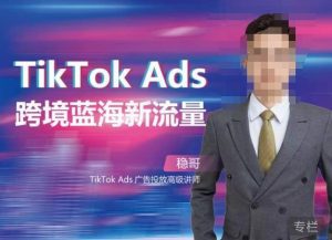 稳哥·如何投出高ROI的TikTok广告，开拓独立站卖家流量新蓝海-副业吧