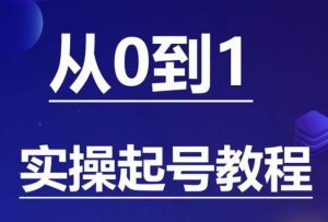 石野·小白起号实操教程，​掌握各种起号的玩法技术，了解流量的核心-副业吧