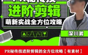 PR进阶剪辑培训班，让你快速成为剪辑大师12节视频课程+素材！-副业吧