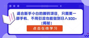 适合新手小白的搬砖项目，只需要一部手机、不用引流也能做到日入300+【揭秘】-副业吧