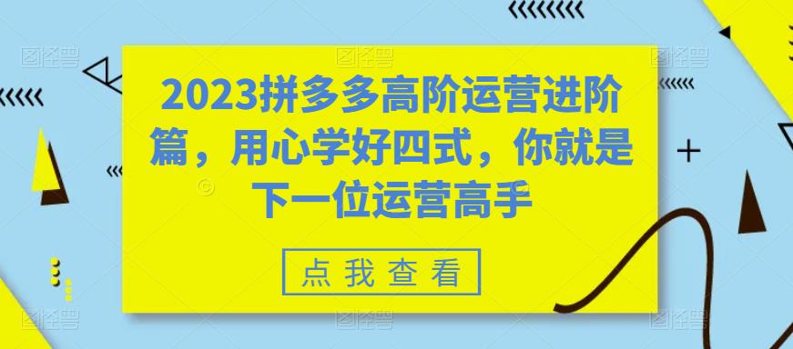 2023拼多多高阶运营进阶篇，用心学好四式，你就是下一位运营高手-副业吧