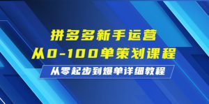 （6920期）拼多多新手运营从0-100单策划课程，从零起步到爆单详细教程-副业吧
