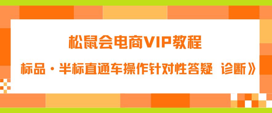 松鼠会电商VIP教程：松鼠《付费推广标品·半标直通车操作针对性答疑&诊断》-副业吧