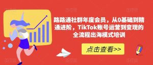 路路通社群年度会员，从0基础到精通进阶，TikTok账号运营到变现的全流程出海模式培训-副业吧