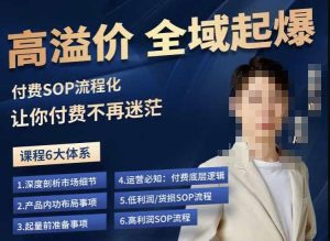 逸风-拼多多高溢价全域起爆，6大课程体系，付费玩法全套实操-副业吧