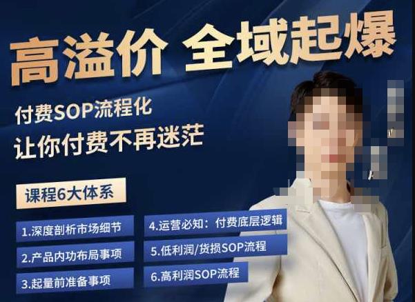 逸风-拼多多高溢价全域起爆，6大课程体系，付费玩法全套实操-副业吧