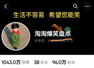 价值1000的搞笑盘点大V淘淘爆笑盘点详细课程+软件，中视频变现-副业吧