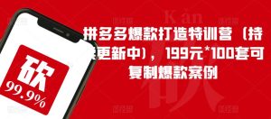 拼多多爆款打造特训营（持续更新中)，199元*100套可复制爆款案例-副业吧