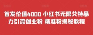 (6982期)首发价值4000 小红书无限艾特暴力引流创业粉 精准粉揭秘教程-副业吧