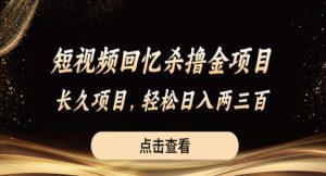 短视频回忆杀撸金项目，长久项目，轻松日入两三张【揭秘】-副业吧