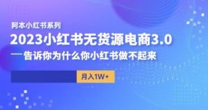阿本小红书无货源电商3.0,告诉你为什么你小红书做不起来-副业吧