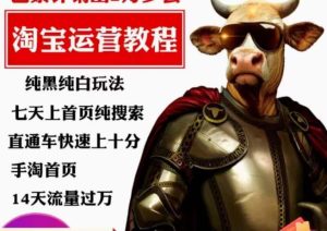 猫老师·淘系算法逆向解密，​纯黑纯白玩法，七天上首页纯搜索，手淘首页14天流量过万-副业吧