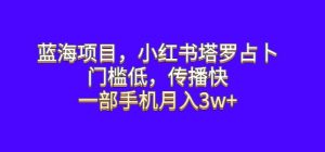 蓝海项目,小红书塔罗占卜,门槛低,传播快,一部手机月入3w+【揭秘】-副业吧