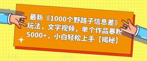 最新《1000个野路子信息差》玩法，文字视频，单个作品暴粉5000+，小白轻松上手【揭秘】-副业吧