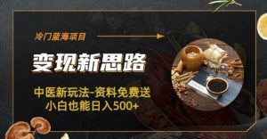 冷门蓝海项目-中医新玩法-资料免费送小白也能日入500+【揭秘】-副业吧