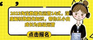 2023淘宝数据化运营14式,深度解析数据化知识,帮你从小白成长为高级运营-副业吧