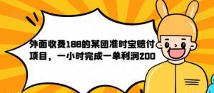外面收费188的美团准时宝赔付项目，一小时完成一单利润200【仅揭秘】-副业吧
