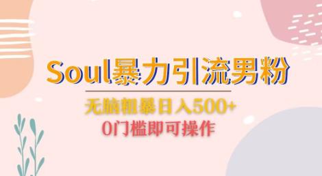 Soul暴力引流男粉玩法，无脑粗暴日入500＋，0门槛即可操作【揭秘】-副业吧
