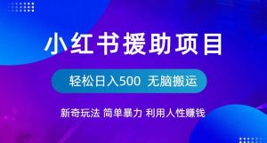 小红书援助项目新奇玩法，简单暴力，无脑搬运轻松日入500【揭秘】-副业吧