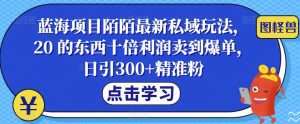 蓝海项目陌陌最新私域玩法，20 的东西十倍利润卖到爆单，日引300+精准粉【揭秘】-副业吧
