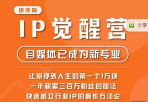 树成林·IP觉醒营，快速树立行业IP的操作方法论，让你赚到人生的第一个1万块（更新）-副业吧