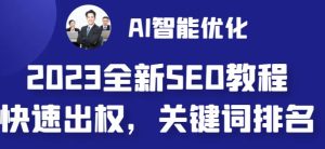 2023最新网站AI智能优化SEO教程，简单快速出权重，AI自动写文章+AI绘画配图-副业吧